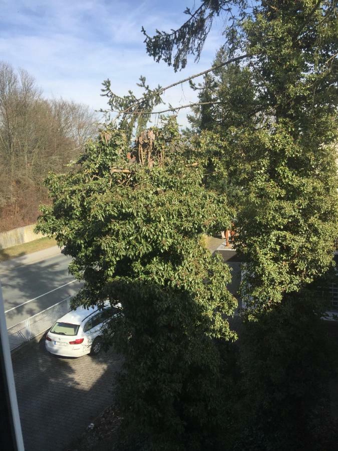 Apartment Rheingold Bayreuth Eksteriør bilde